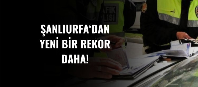 Şanlıurfa'da yeni bir rekor kırıldı! İşte detaylar...